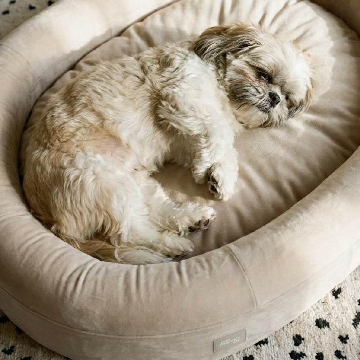 Chill Pill Velvet Easy Fit Cover