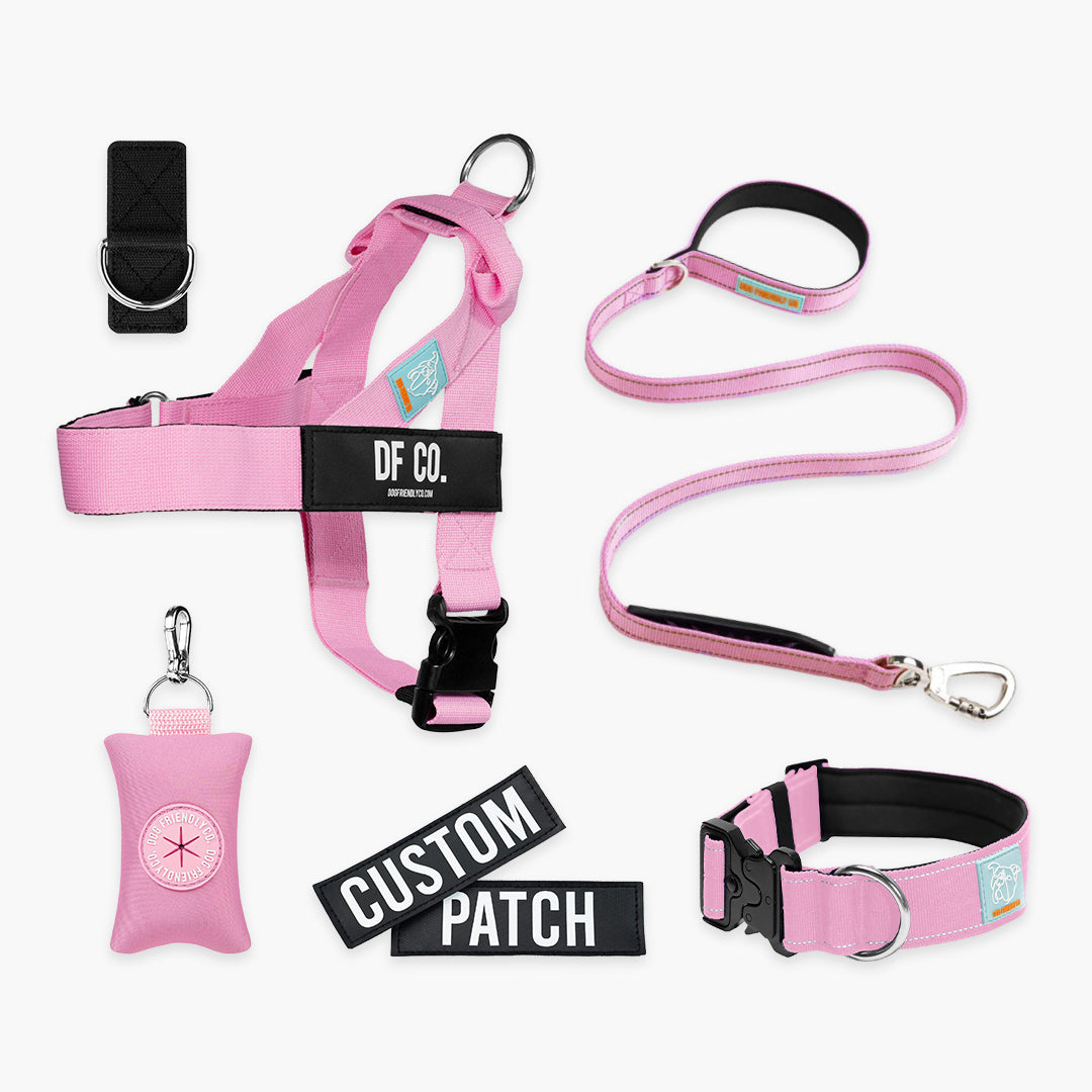 Ultimate No-Pull Bundle – Influencer Exclusive (Black)
