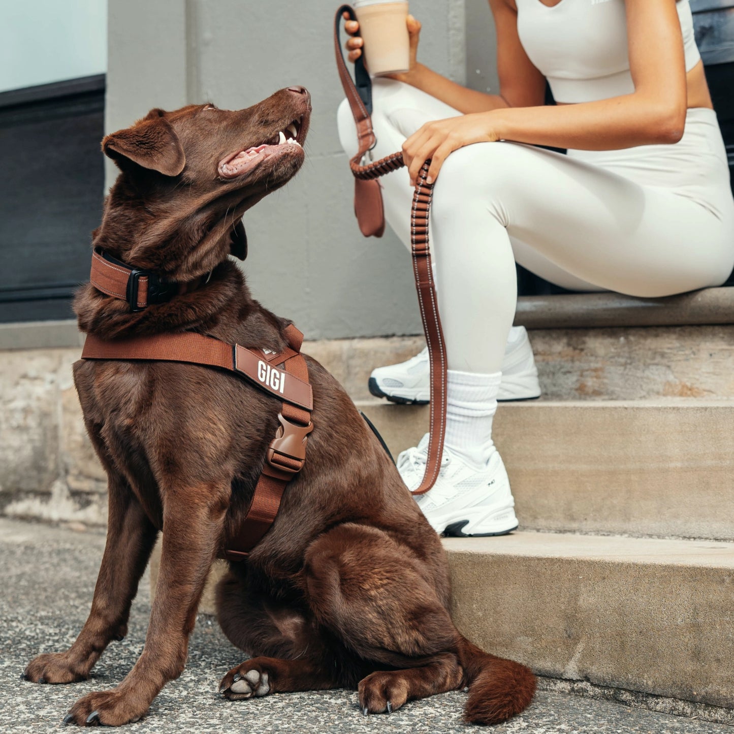 Ultimate No-Pull Bundle - Limited Edition Mocha