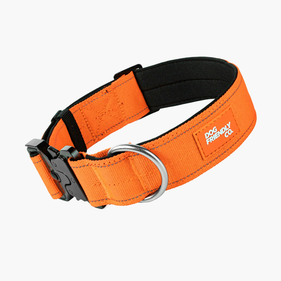 Tactical Dog Collar - Hi-vis Orange