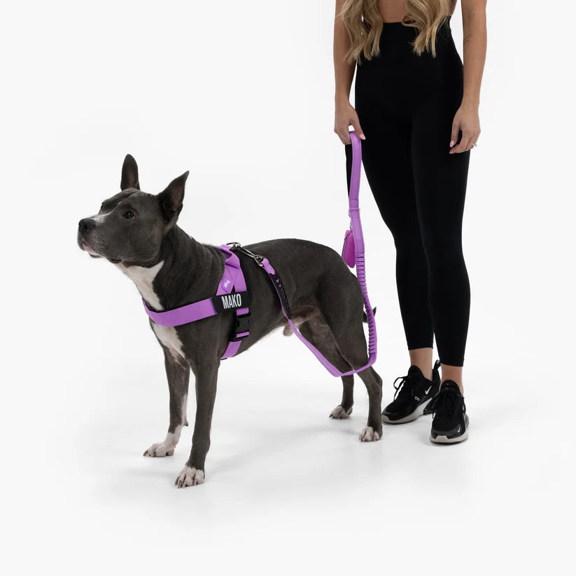 Dog Harness + FREE D-ring