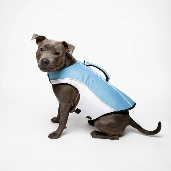 Harnesses