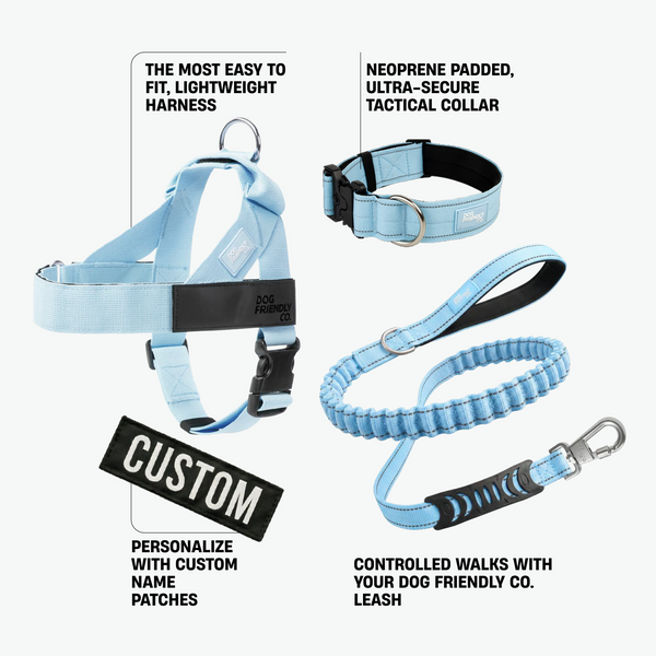 Dog Lovers Pack