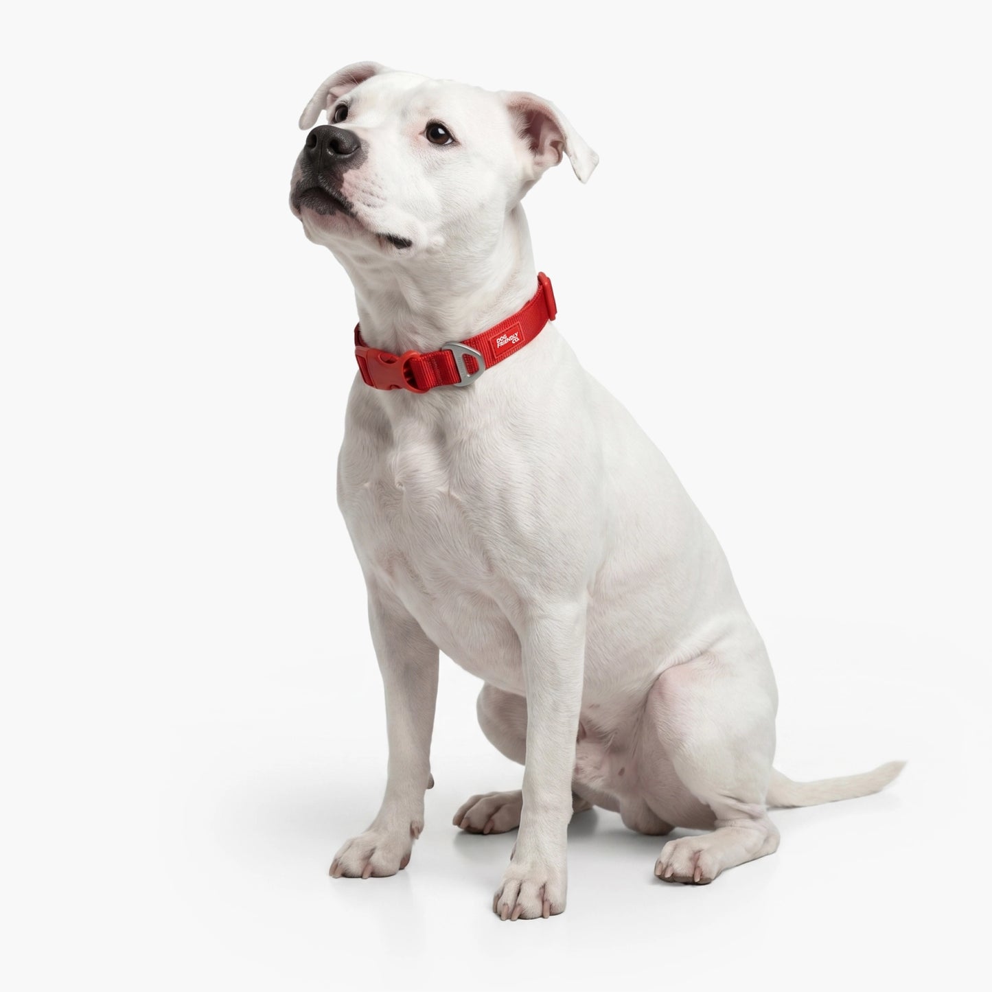 Essentials Collar - Red