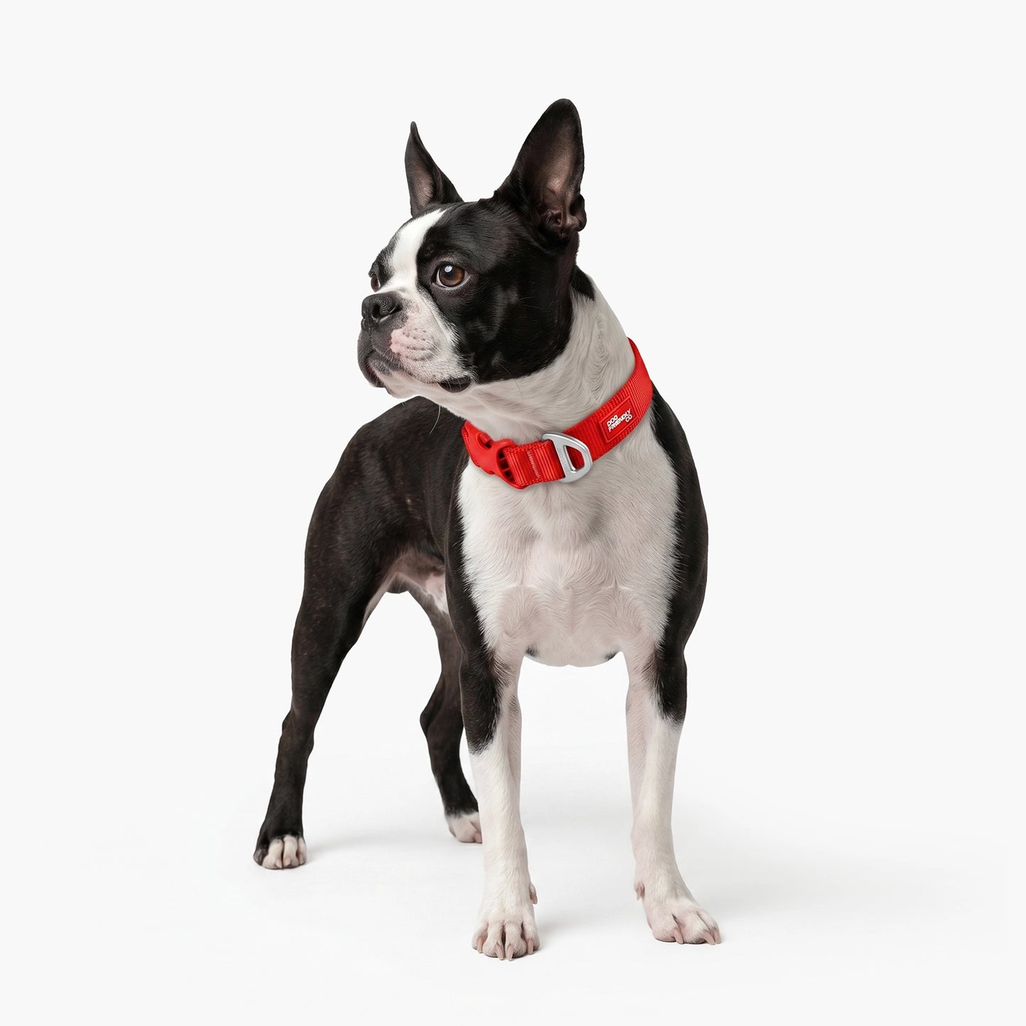 Essentials Collar - Red