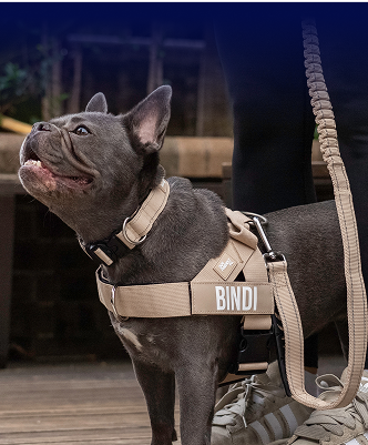 Julius K9 Harness Bulldog Julius-K9 IDC® Power Harness Black S