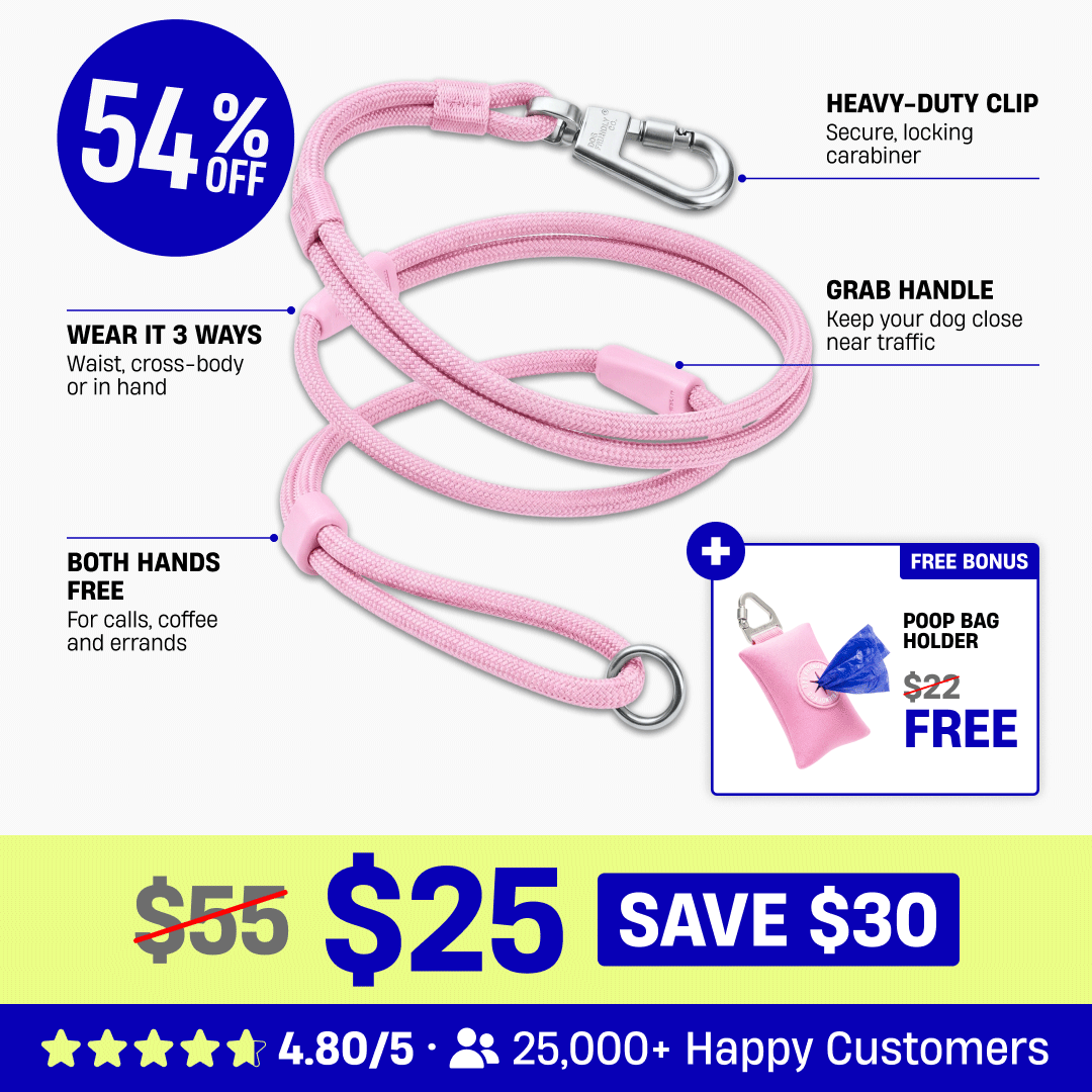 Hands Free Leash + Poop Bag Holder