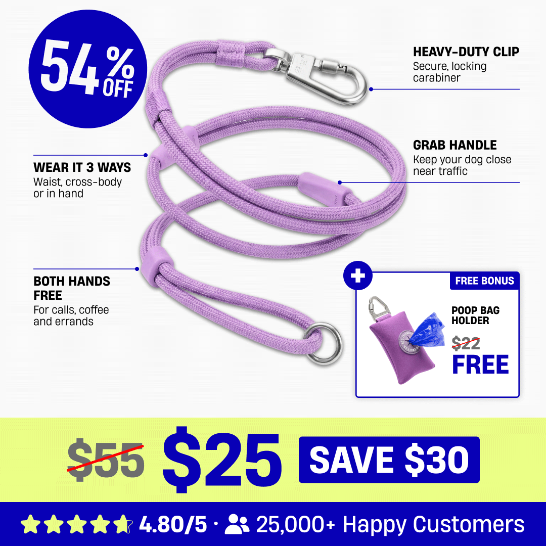 Hands Free Leash + Poop Bag Holder