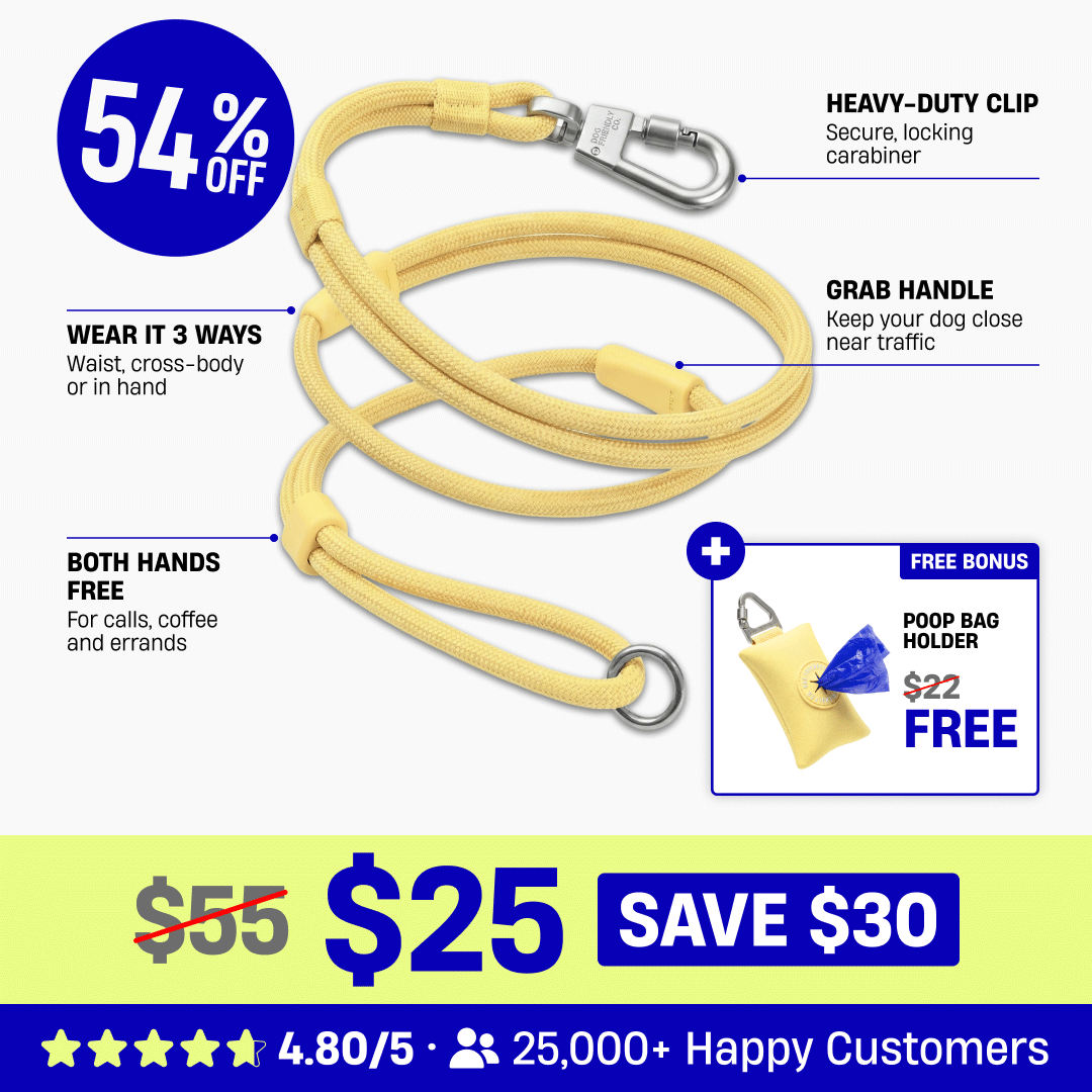 Hands Free Leash + Poop Bag Holder