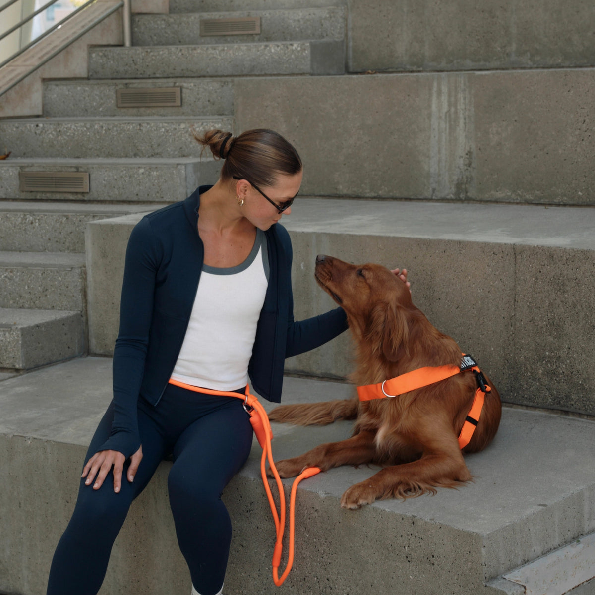 Hands Free Leash - Orange