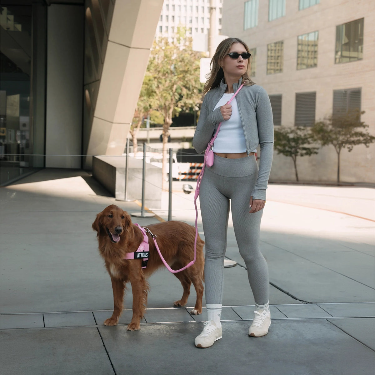 Dog owner wearing the pink hands-free leash crossbody while walking a brown dog wearing a pink harness.