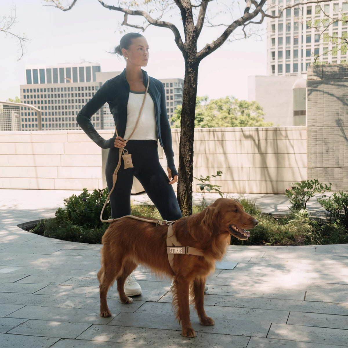 Hands Free Leash - Influencer Exclusive
