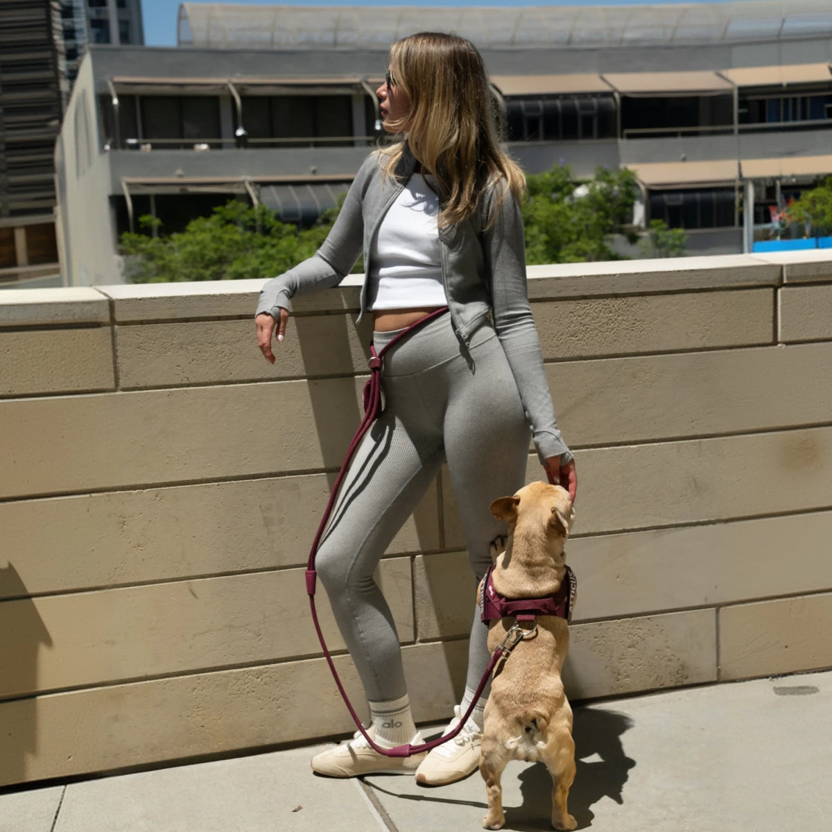 Hands Free Leash - Burgundy