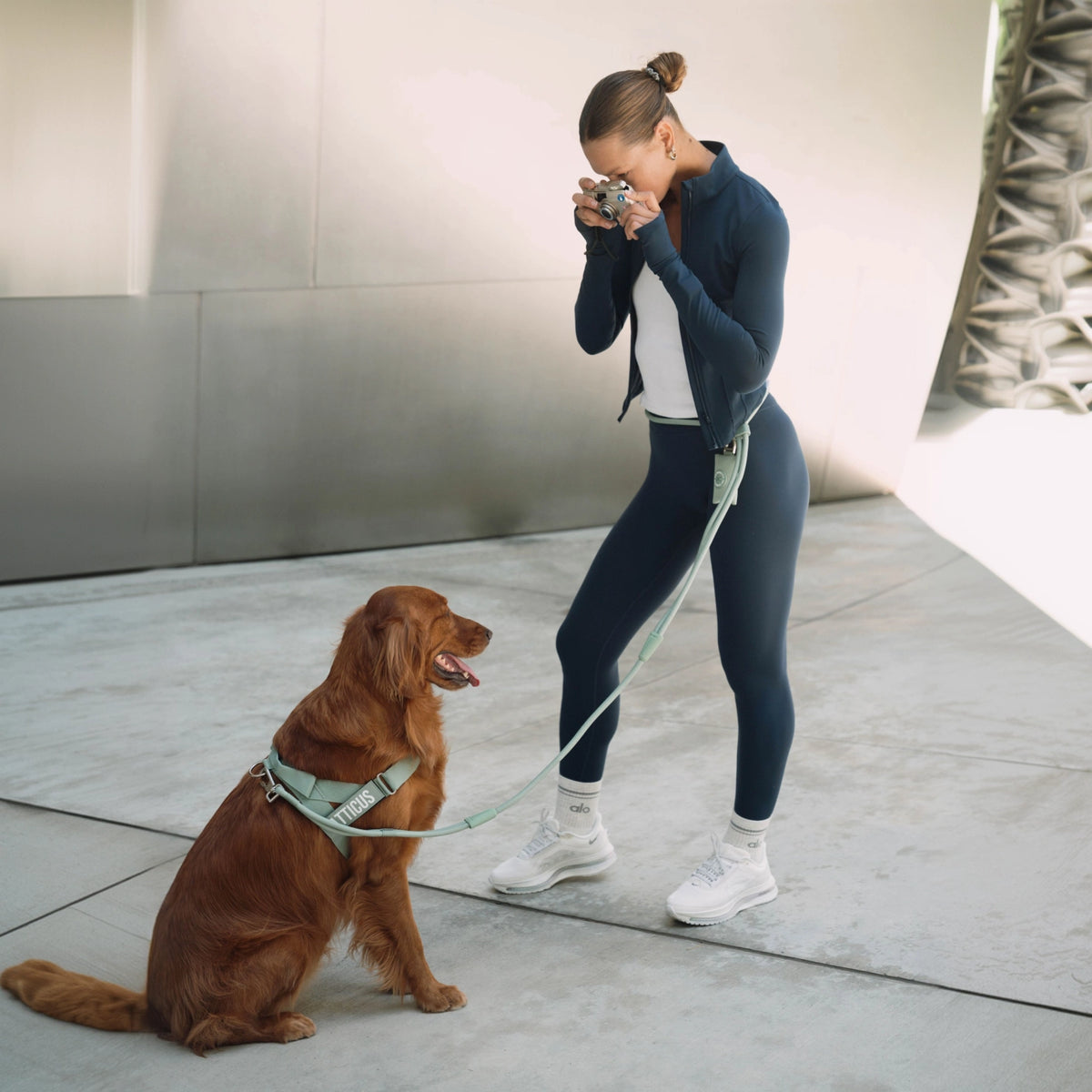 Hands Free Leash - Khaki