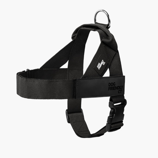 Harnesses