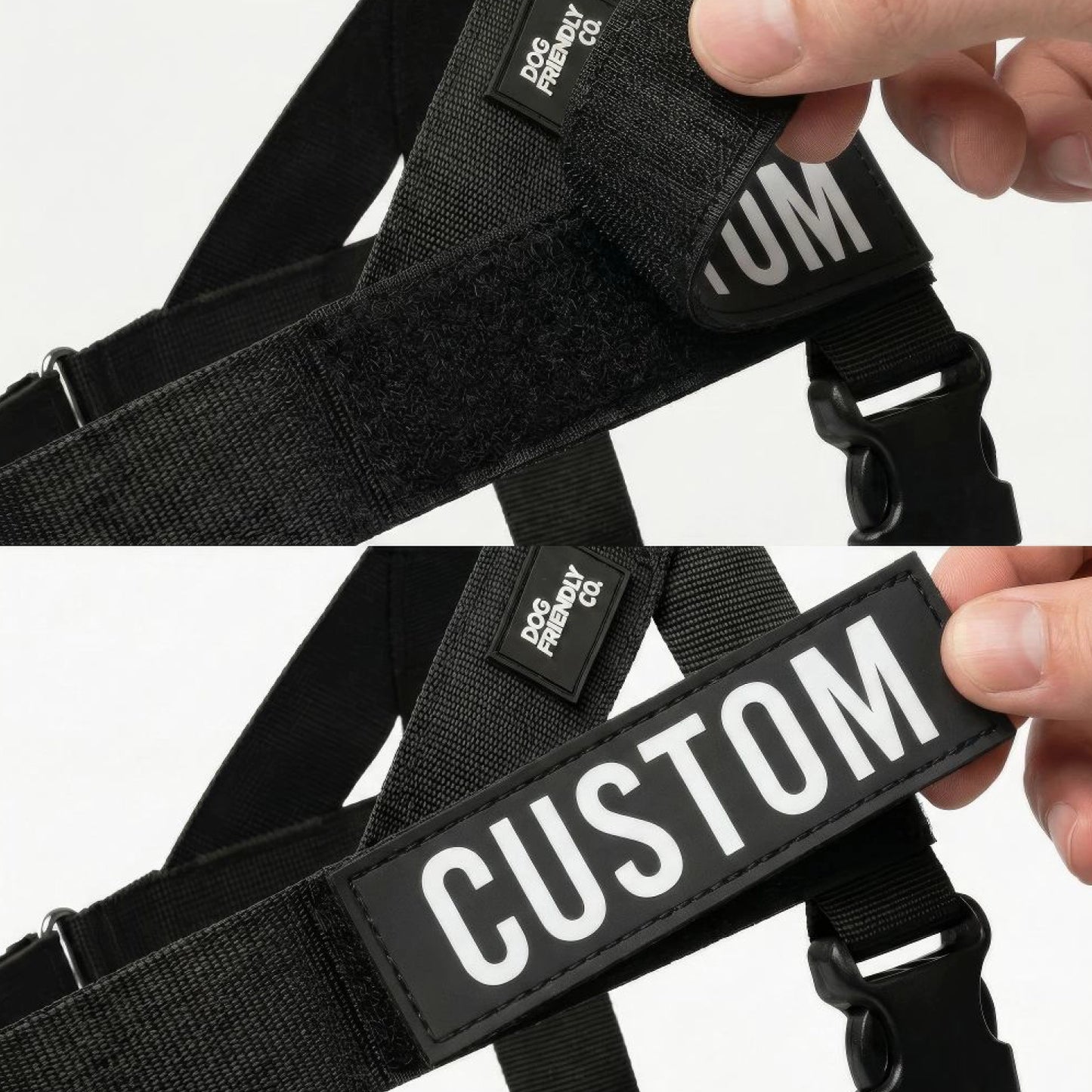 Personalised Dog Harness