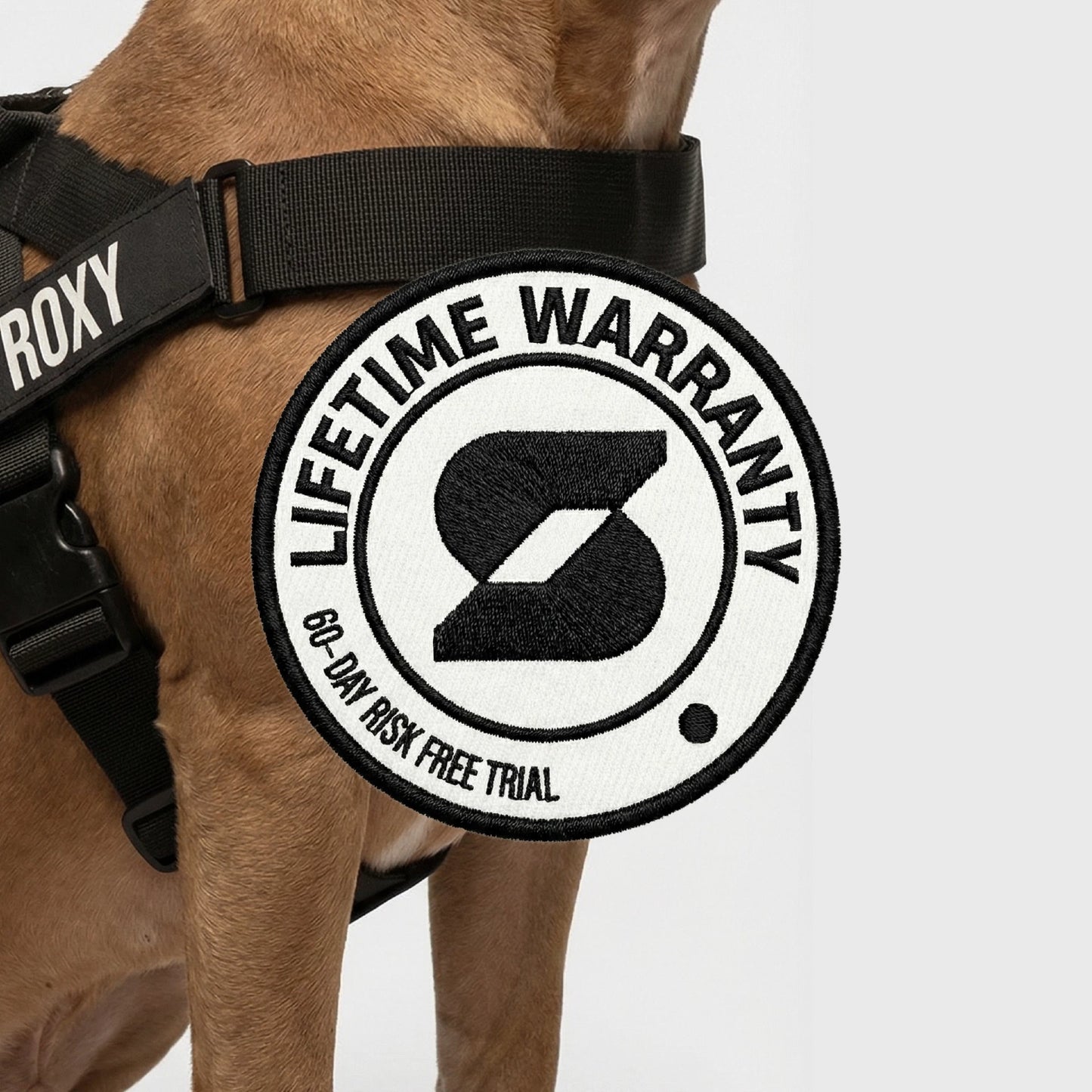 Personalised Dog Harness