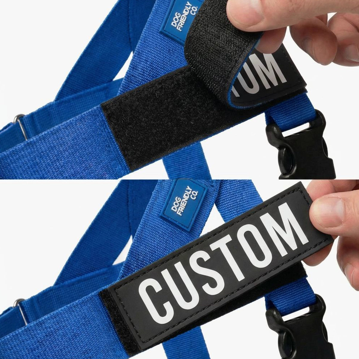 Personalised Dog Harness
