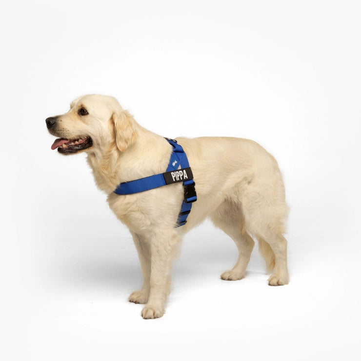 JL Happy Dog No-Pull Padded Dog Harness – Comfortable Walking Harness