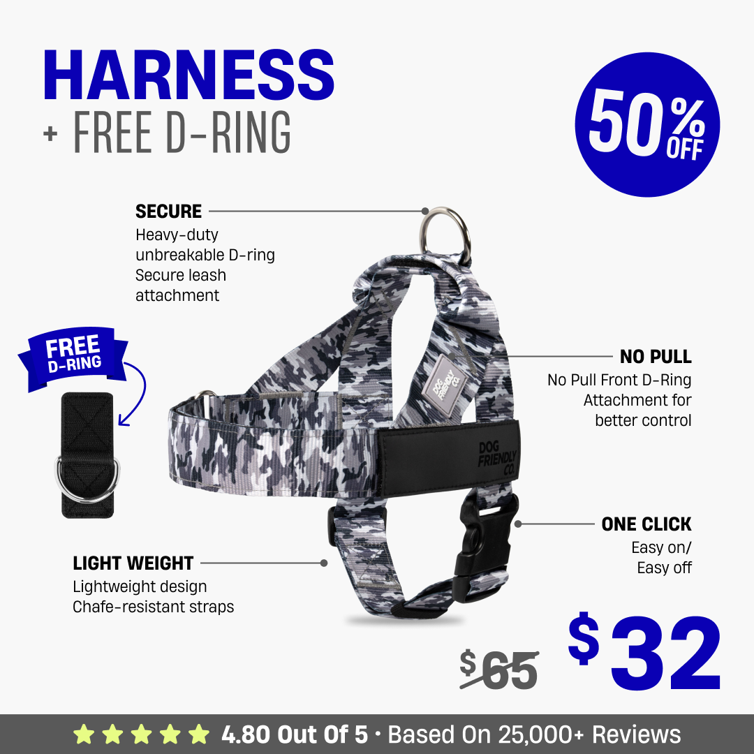 Dog Harness + FREE D-ring - 50% OFF