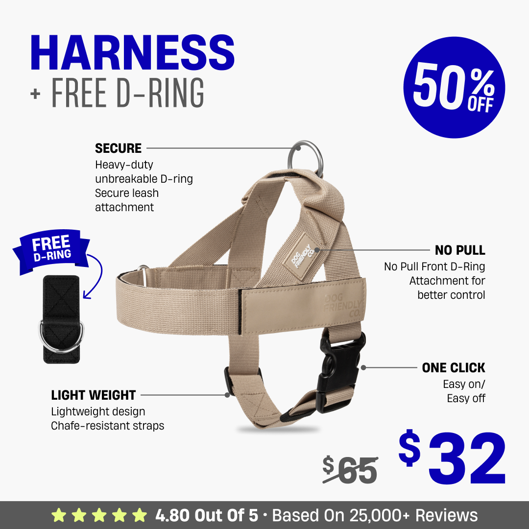 Dog Harness + FREE D-ring - 50% OFF