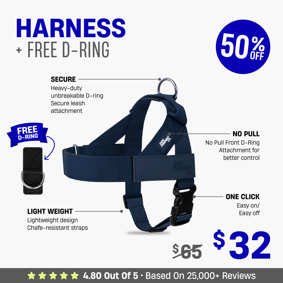 Dog Harness + FREE D-ring - 50% OFF