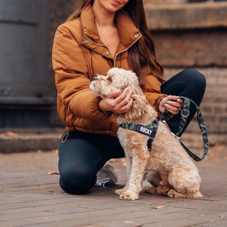 Personalised Dog Harness - Green Camo
