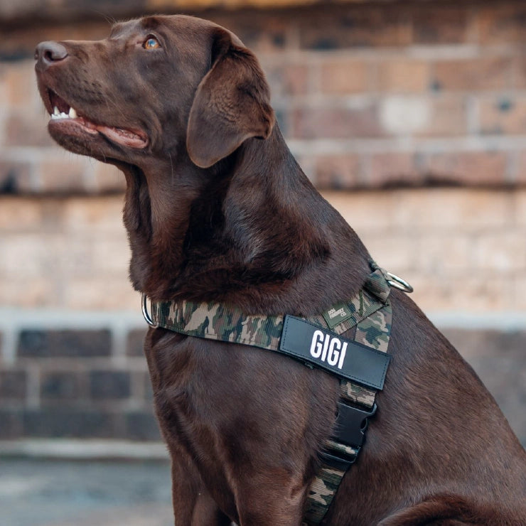 Personalised Dog Harness - Green Camo