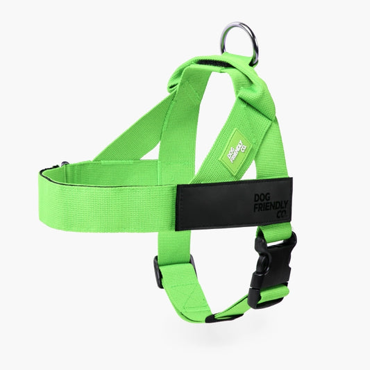 Personalised Dog Harness - Neon Green