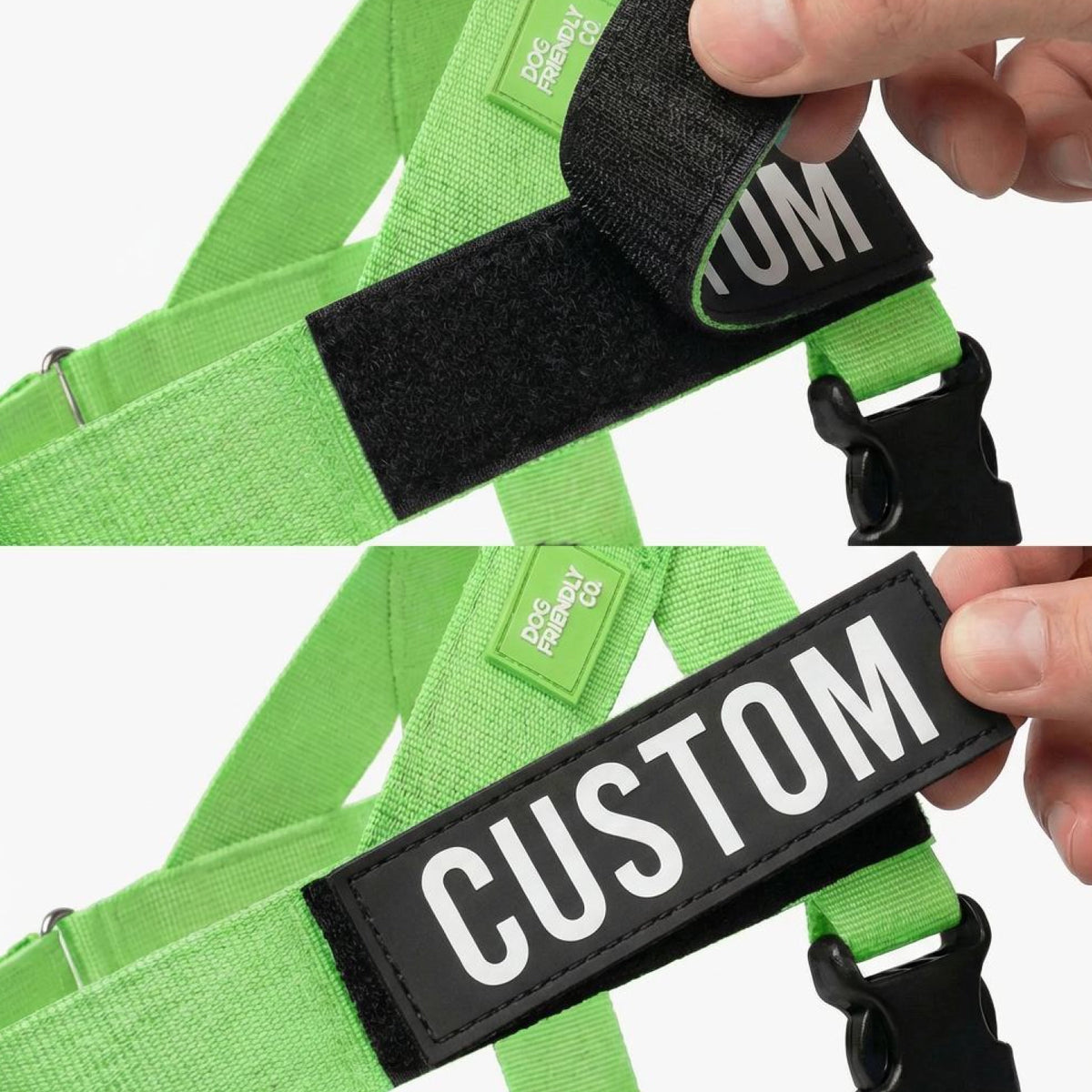 Personalised Dog Harness