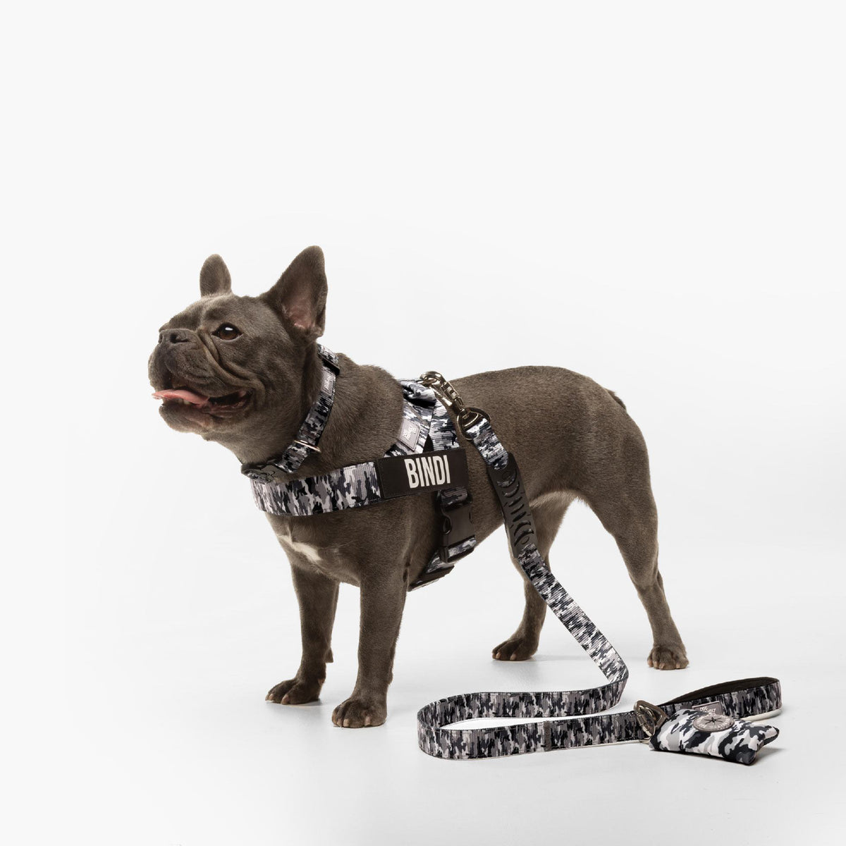 Personalised Dog Harness