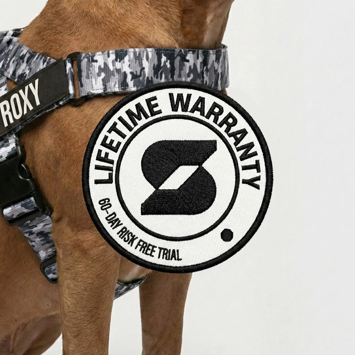 Personalised Dog Harness