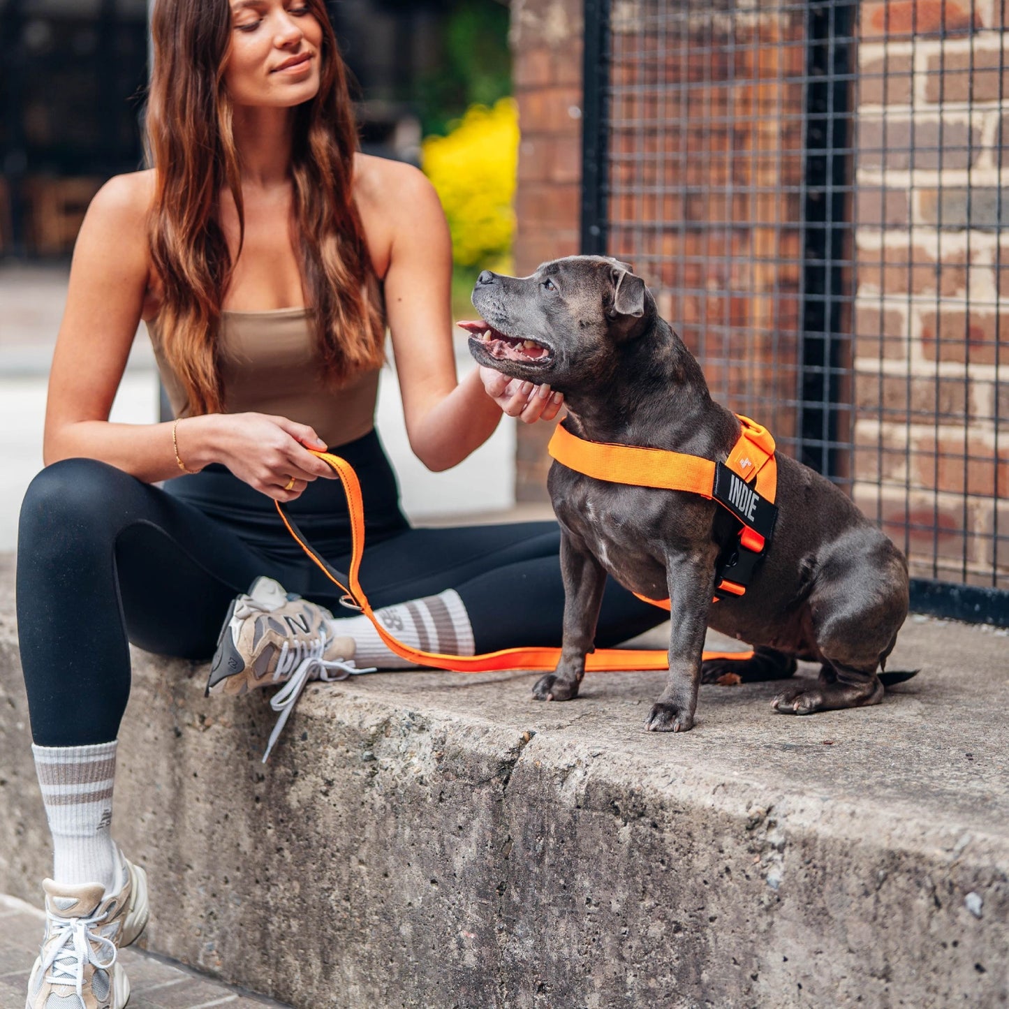Personalised Dog Harness