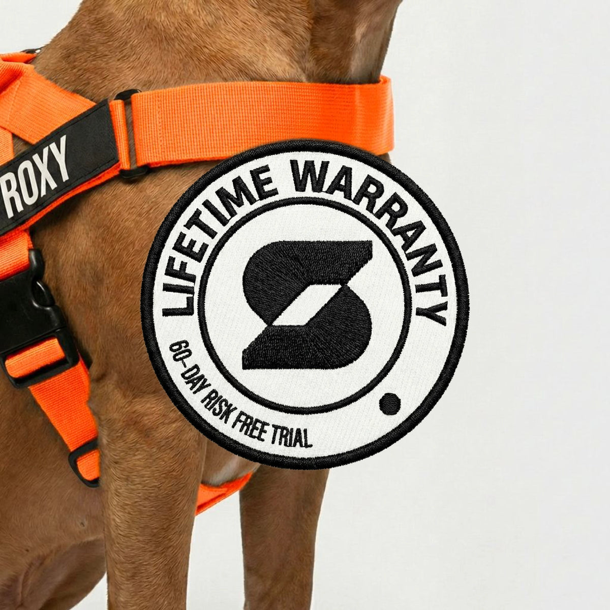 Personalised Dog Harness