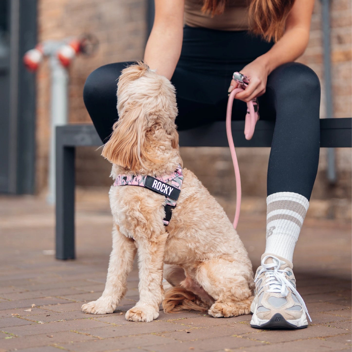 Personalised Dog Harness