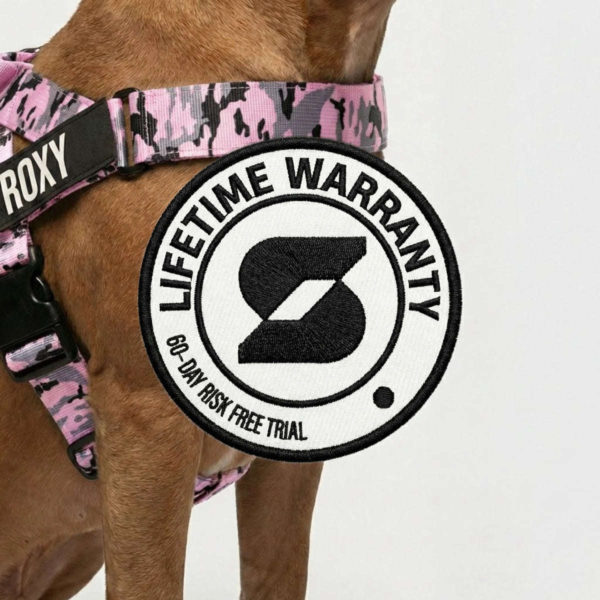 Personalised Dog Harness