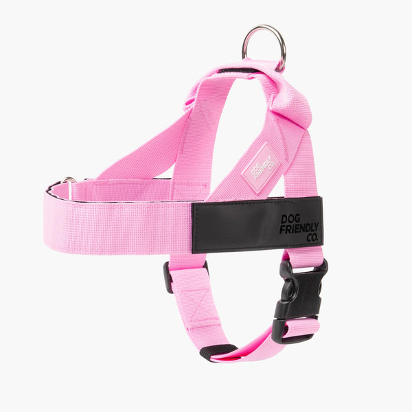 Harnesses