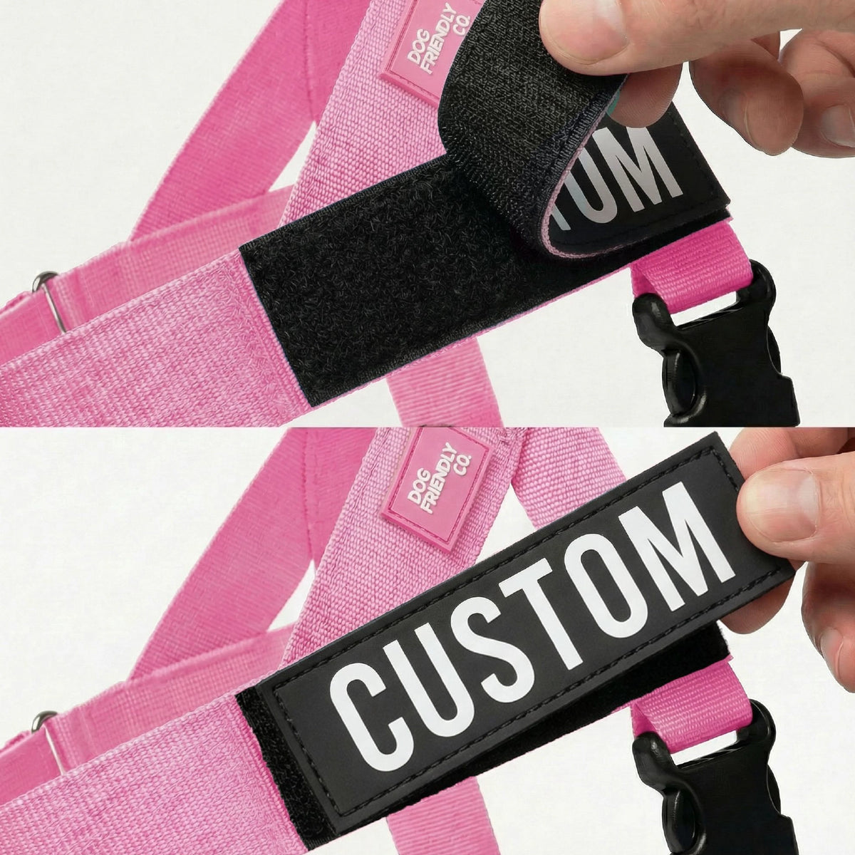 Personalised Dog Harness