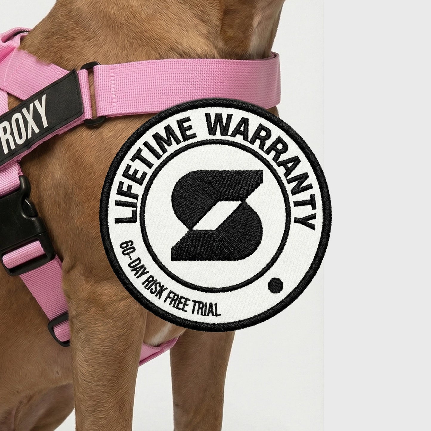 Personalised Dog Harness