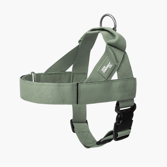 Personalised Dog Harness - Khaki