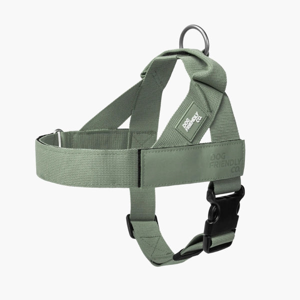 Harnesses