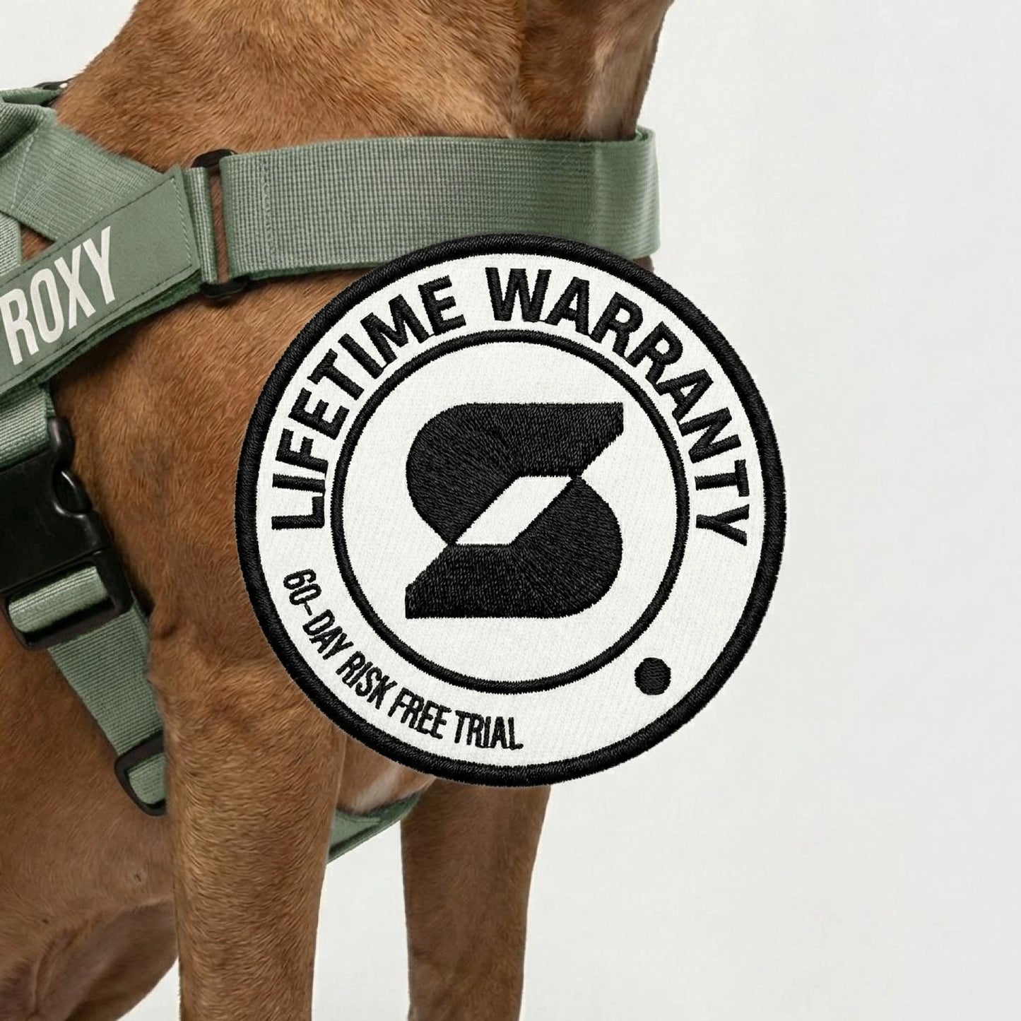 Personalised Dog Harness