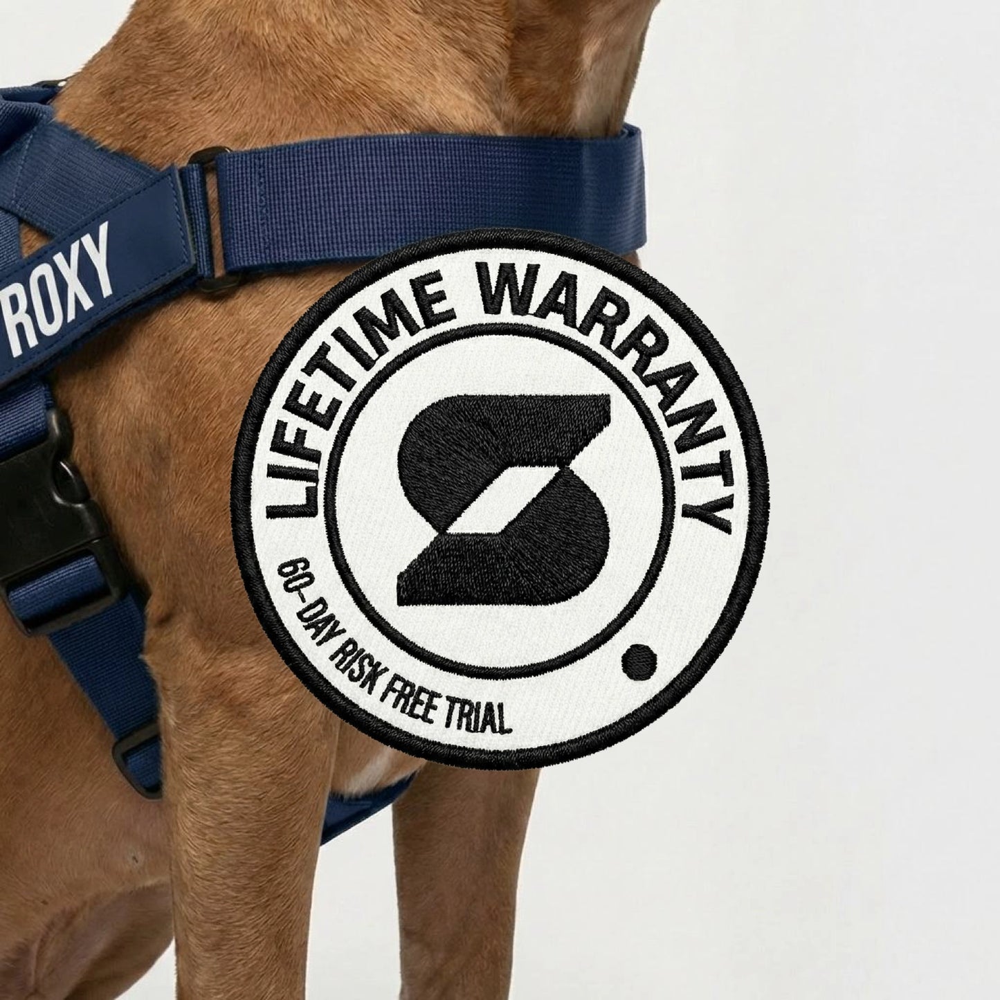 Personalised Dog Harness