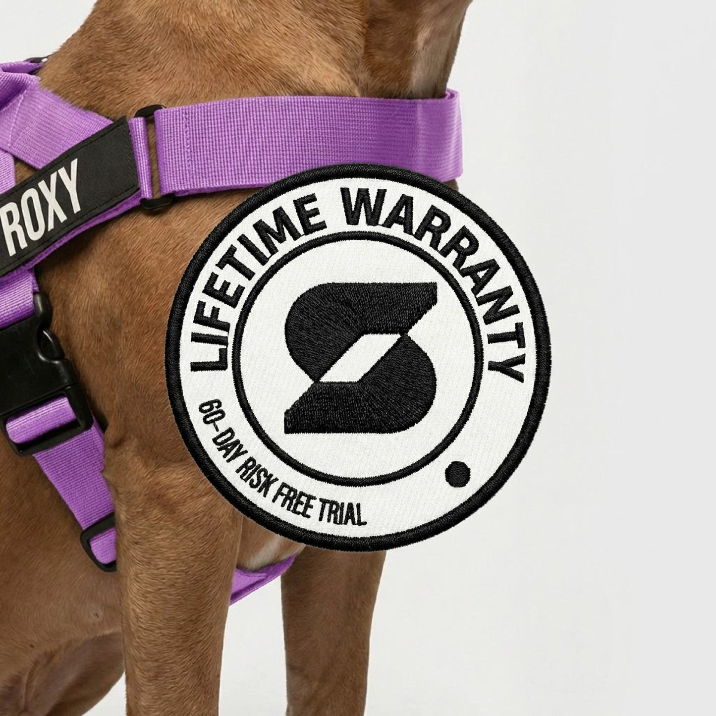 Personalised Dog Harness