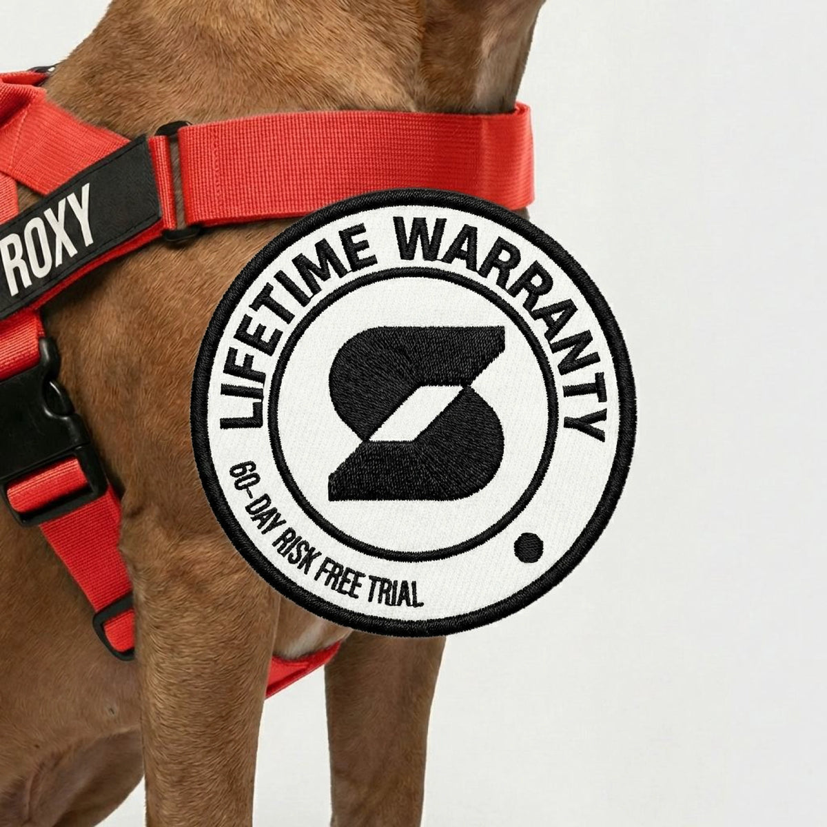 Personalised Dog Harness