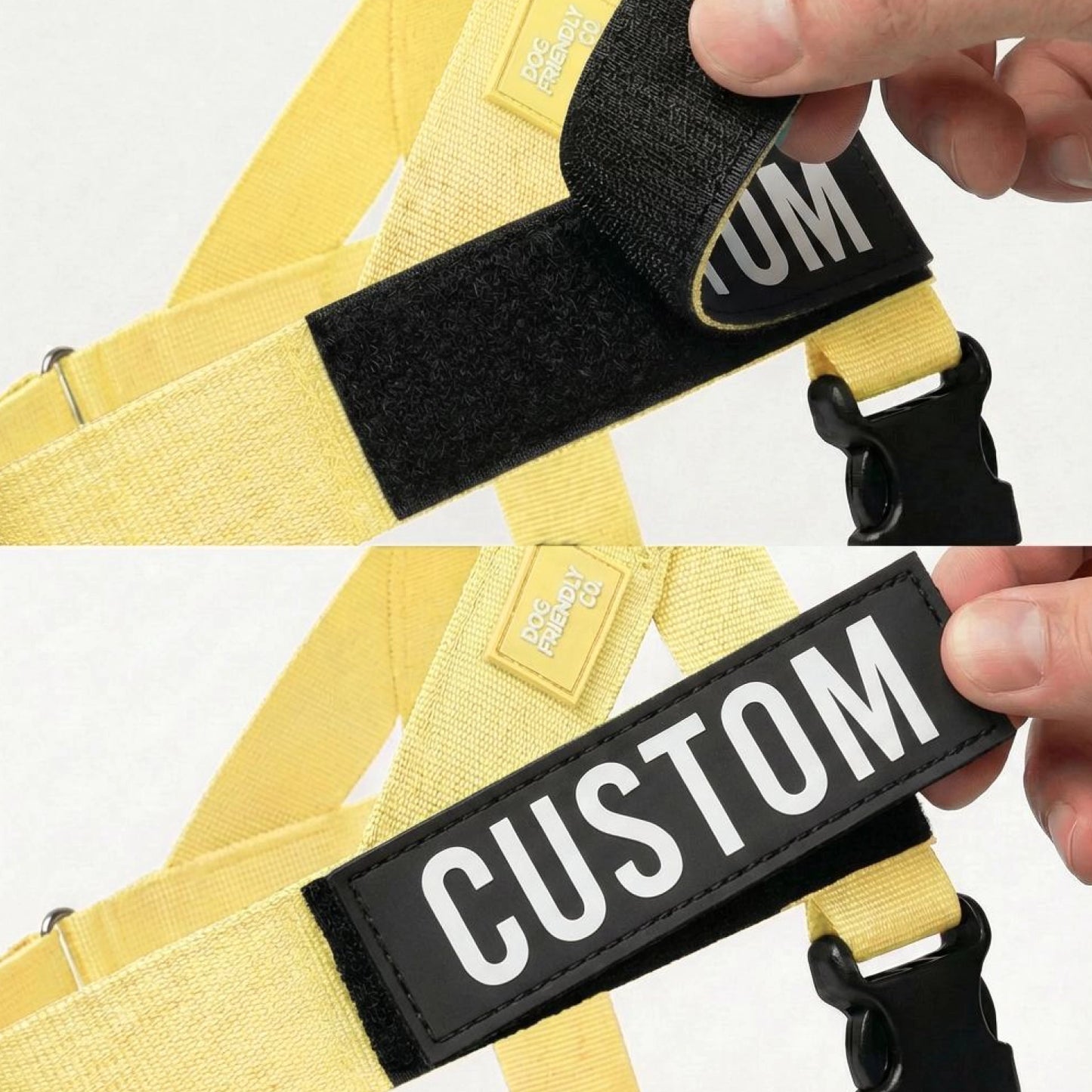 Personalised Dog Harness