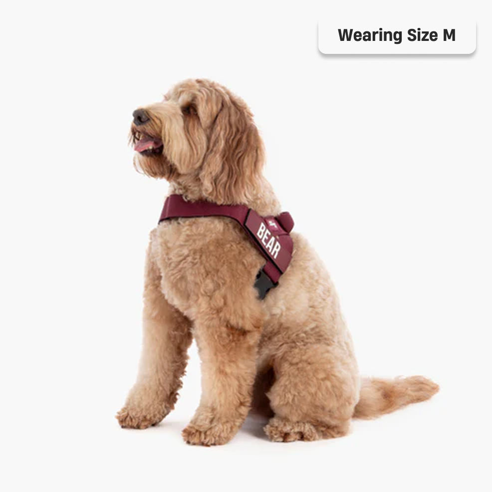 Dog Harness - Burgundy