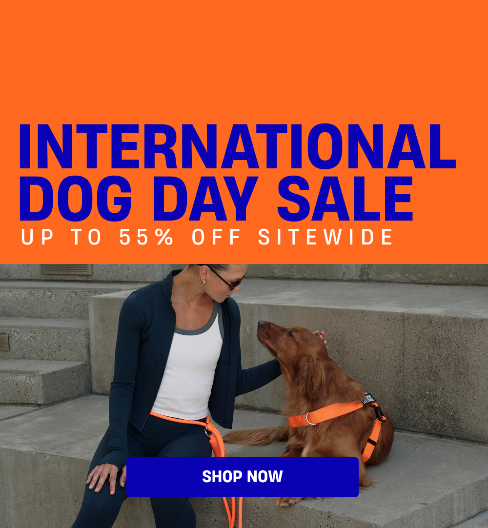 International Dog Day Sale - 55% OFF