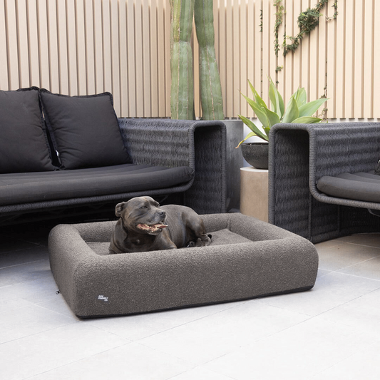 Premium Orthopedic Memory Foam Dog Bed - Brown Bouclé (Small)