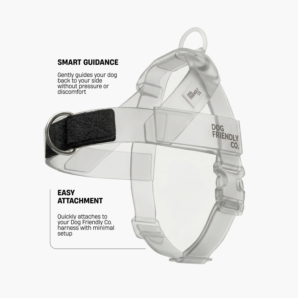 No-Pull D-Ring Harness Attachment shown with its front D-ring and adjustable strap.
